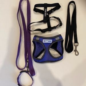 2 Harnesses, 1 collar, 2 leashes